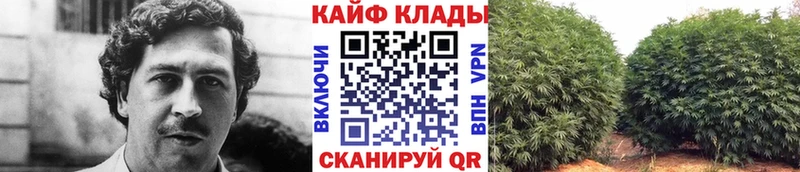 Все наркотики Чёрмоз блэк спрут зеркало  Кокаин  MDMA  Конопля  Гашиш  МЕФ  Альфа ПВП 