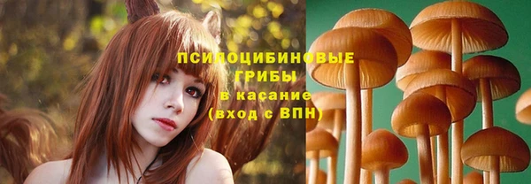 первитин Алексин