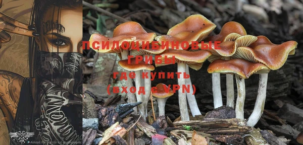 ешки Алзамай