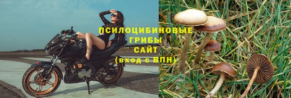 каннабис Алексеевка