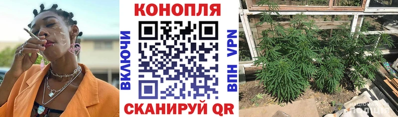 Бошки марихуана Ganja Чёрмоз